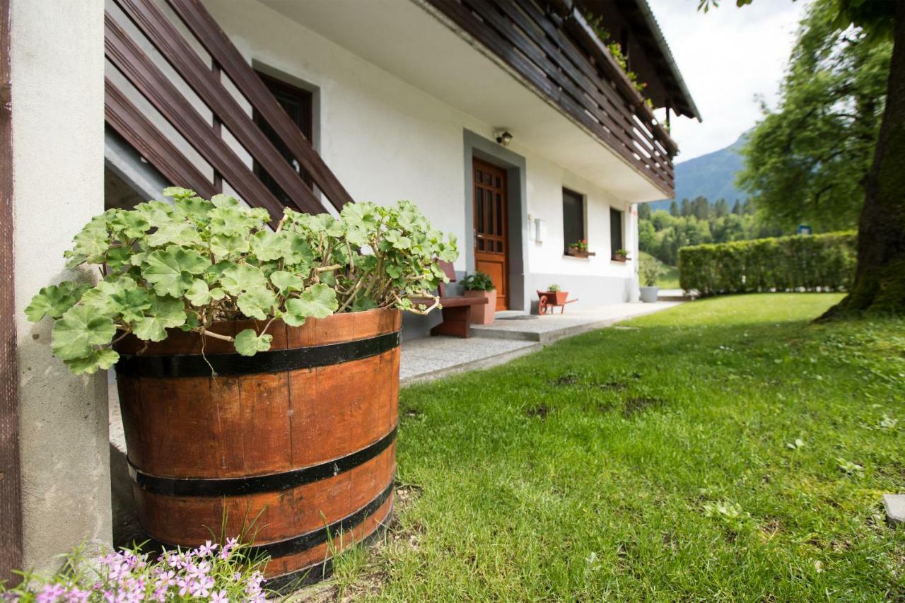 Apartma Pr Gatej Bohinj ภายนอก รูปภาพ