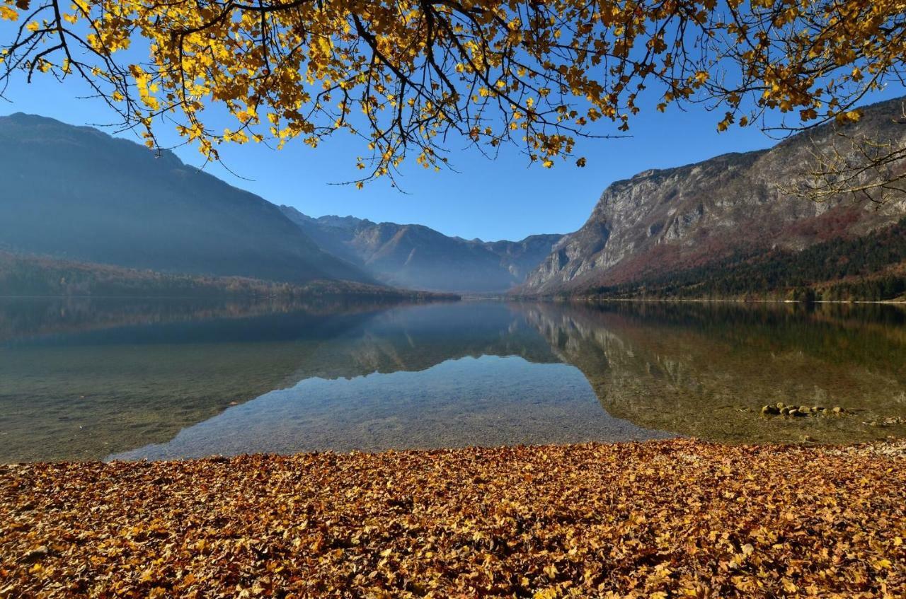 Apartma Pr Gatej Bohinj ภายนอก รูปภาพ